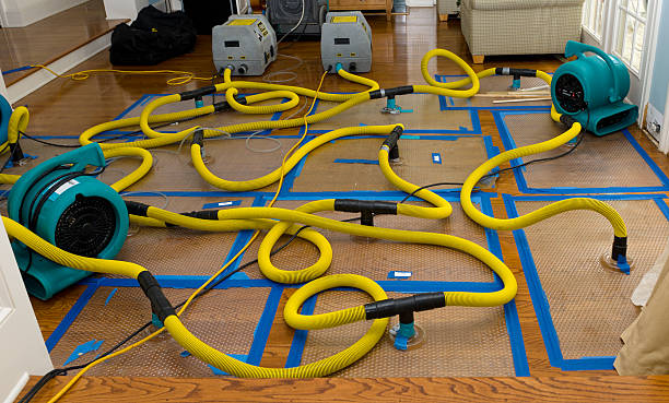 Professional Structural Drying And Dehumidification technician working in Simpson, PA